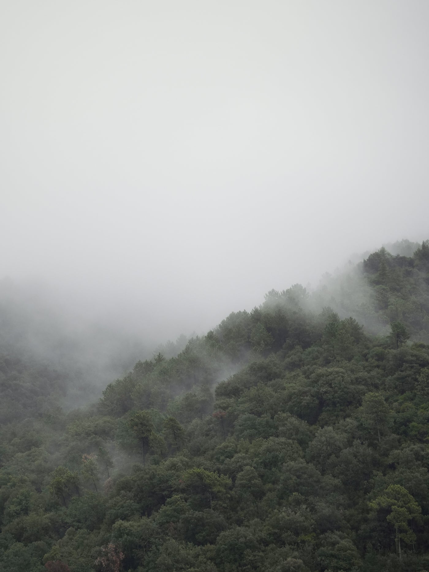 Seborga, Italy